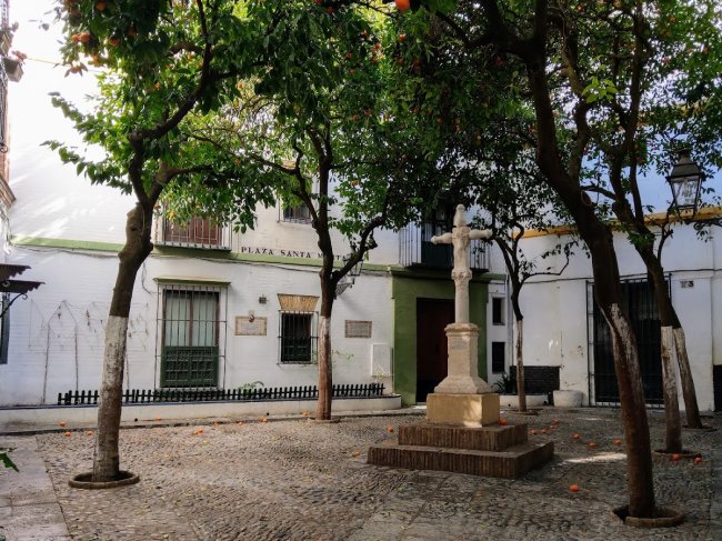 Plaza de Santa Marta (1/3)