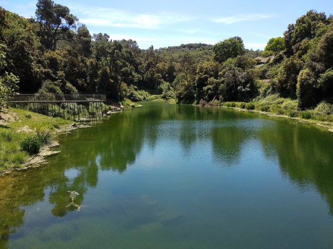 Hiking in Collserola (2/3)