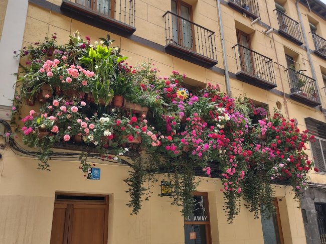 Malasaña neighborhood (1/3)