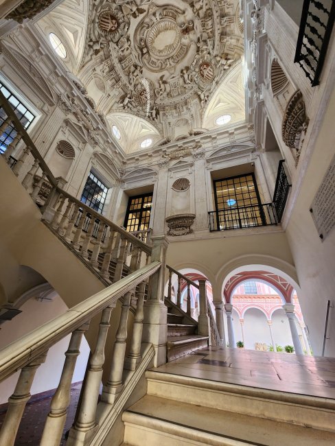 Fine arts museum (3/4)