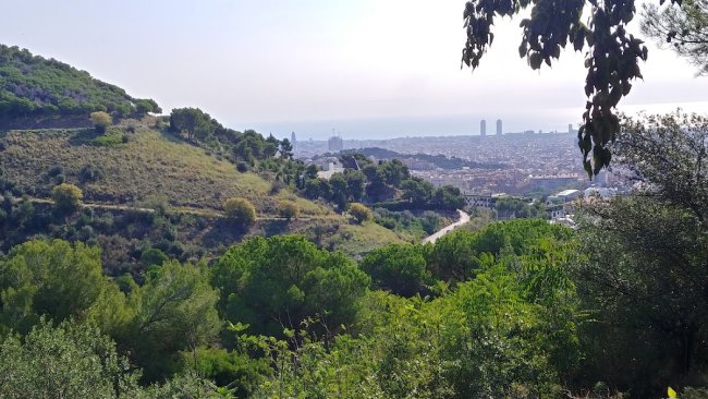 Hiking in Collserola (3/3)